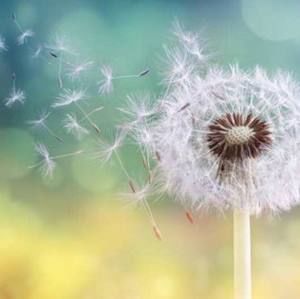 Meet your Posher, Vicky